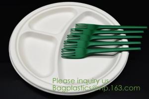 China Biodegradable, Sugar Cane, Sugarcane Bamboo Pulp, Bento Box, Bagasse Food Container, Take Out Box, Plates & Bowls wholesale