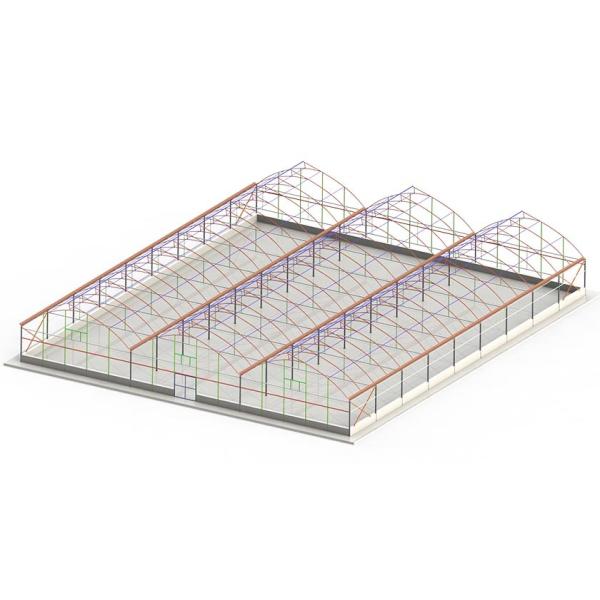 Galvanized Steel Frame Plastic Film Greenhouse For Vegetable Farming