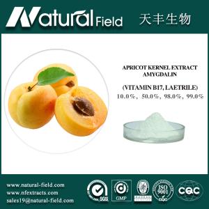 China With 12 years experience Natural bitter almond seed extract b17 vitamin98% oral grade wholesale