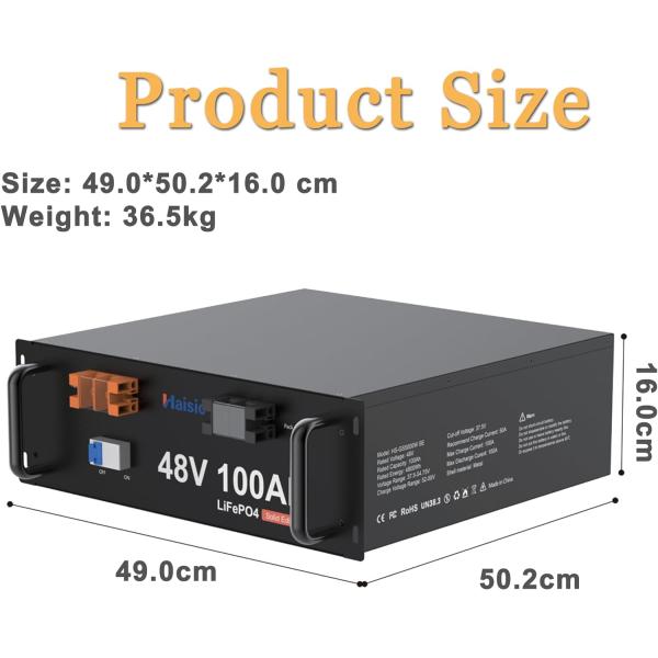 High Capacity 100Ah Lithium Lifepo4 Battery Pack for Server Rack Mounting 48V 4.8kWh
