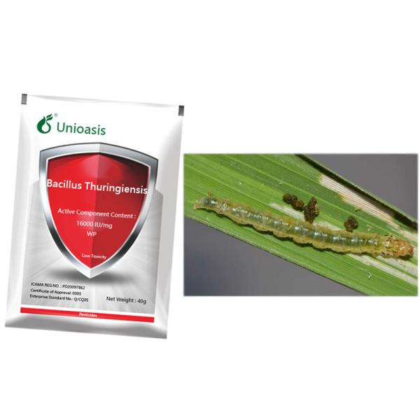 Microbial Bt WP Bacillus Thuringiensis Maize Crop Pesticides Killing Agriculture Pest Of Corn