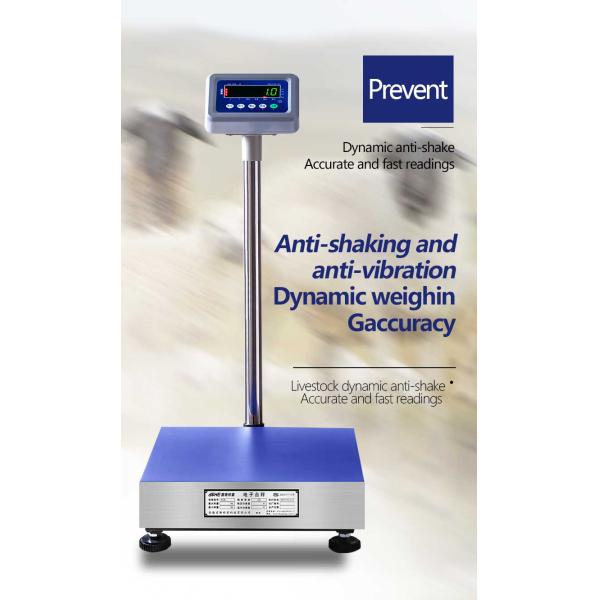 ABS stainless steel Electronic Platform Scale for Industrial Weighing Applications