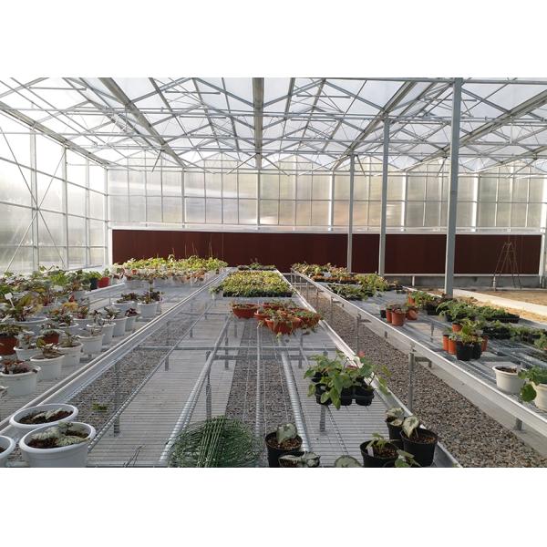 WL108Y Large IGreen Polycarbonate Panels Customized Length for Greenhouse