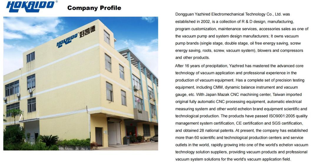 Air Cooling RV250y RV500y RV1000y RV2000y Roots Vacuum Pump as Prepump Forepump Backing Pump