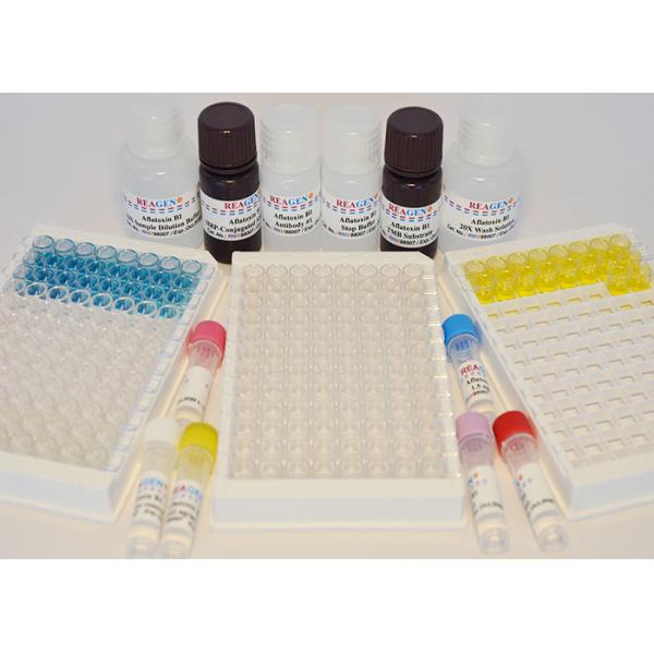 Food Safety Enrofloxacin ELISA Test Kit Rapid Assay Protocol With Strong Sensitivity