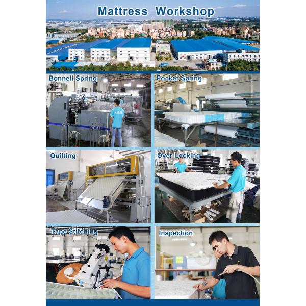 Rayson Mattress-Pocket Springs For Sale | Visco Memory Foam Pillow Top Spring Mattress-10