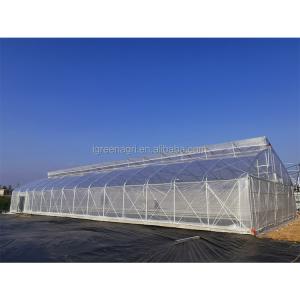 275gsm Zinc Coated Steel Pipe Greenhouse With Agricultural Plastic Film