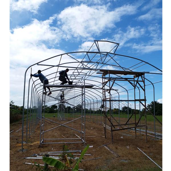 Umbrella Structure Agricultural Greenhouse 8m Height Wide Span Greenhouse