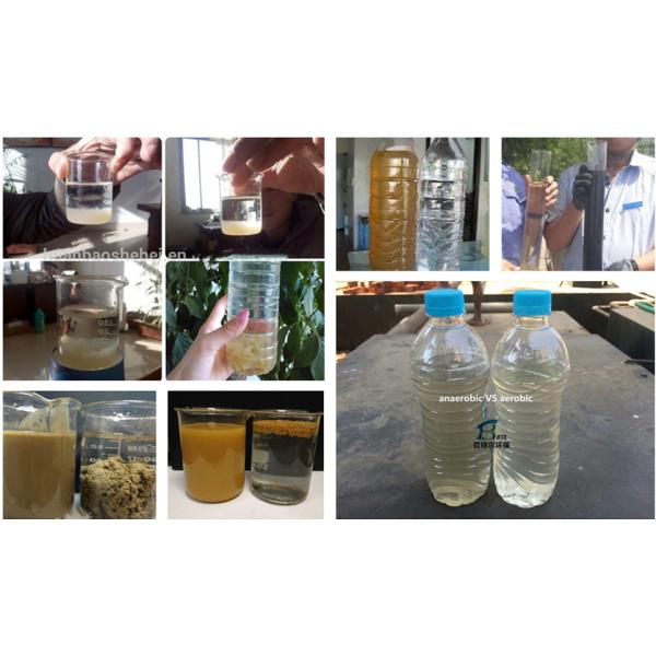 Silver/Green Sewage Separation Pretreatment with Dissolved Air Flotation Machine