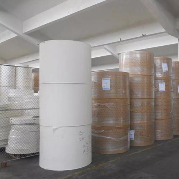Waterproof Food Grade PE Coated Paper Roll Paper Cup Raw Material