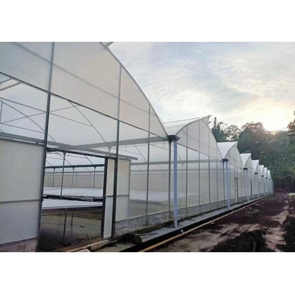 Climate Controlled Agricultural Greenhouse Hot Dipped Galvanized Steel Greenhouse