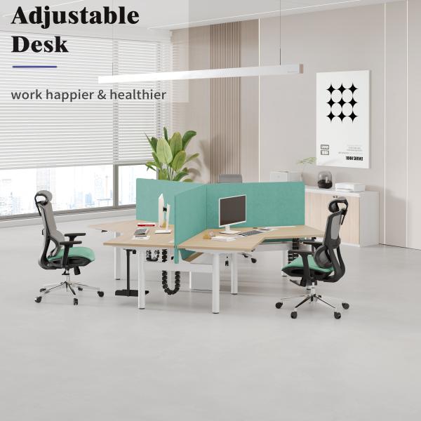 Customized Size Uplift Standing Desk Assembly Required 355 Lbs Weight Capacity Customizable