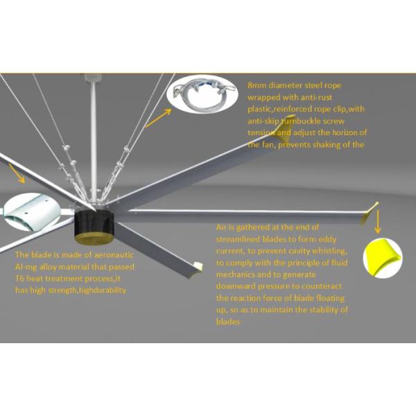 Workshop Air Cooling Giant Factory Ceiling Fan/Industrial Fans