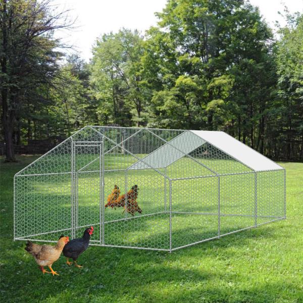 Waterproof Galvanized Steel Tube OEM Chicken Cage Run Chicken Coop with White color cover