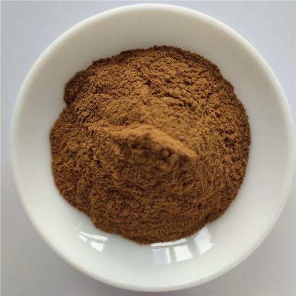 Quality Hot Sale Lose Weight Fast Diet Hoodia Cactus Extract for sale