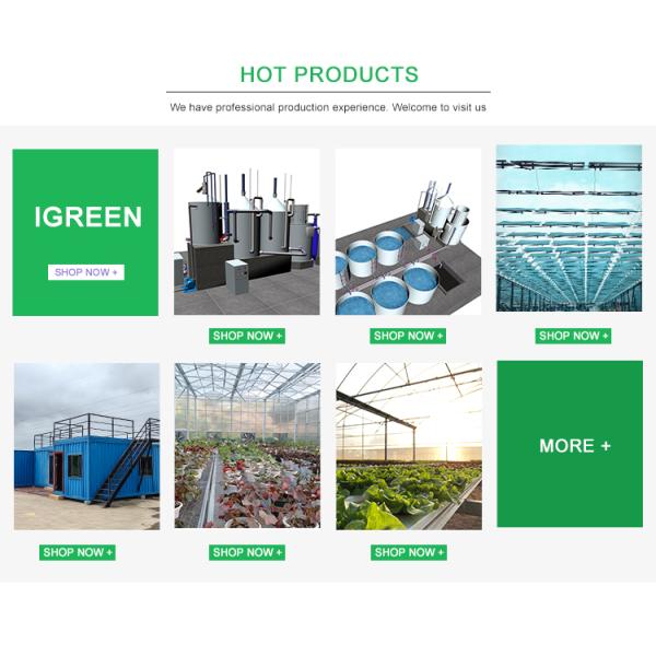 Film Surface Material Multi-Span Agricultural Greenhouses IGreen Greenhouse
