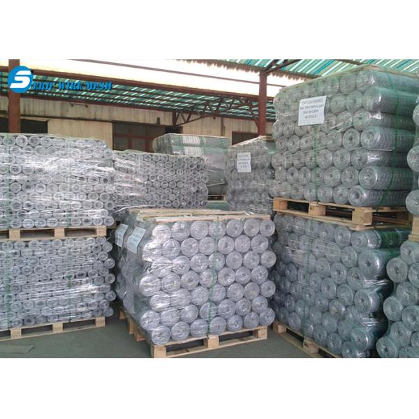 Hot Dipped Chicken Wire mesh/gabion hexagonal wire mesh/hexagonal wire mesh