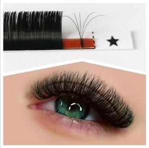 China Lightweight Classic Individual Eyelashes , C Curl 8mm Eyelash Extension wholesale