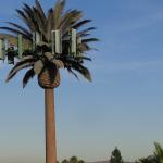 High Performance Innovative Communication Disguised Cell Towers Coconut Tree