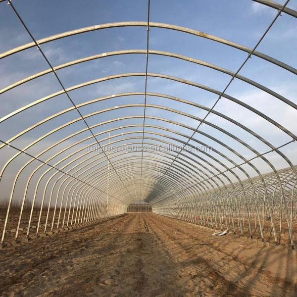 Ventilation Vents for 150/200micro PE Film Covered Greenhouse on Poultry Farm