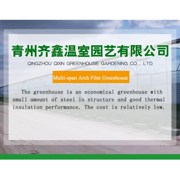 30 x 100 Vegetable Growing Film Covered Multi-span Arch Greenhouse with PO Cover