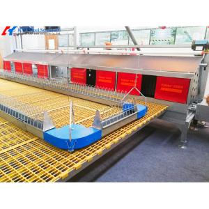 China Steel Poultry House Equipment Automatic Customized Broiler Feeding System wholesale