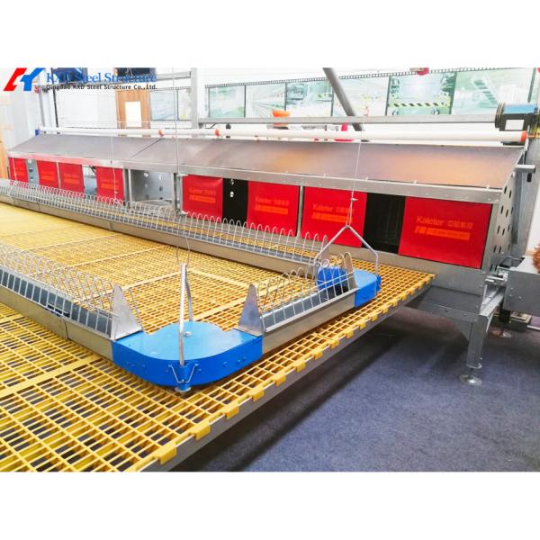 Customized Plastic Broiler Cage Equipment Automatic Poultry Breeding Equipment