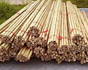 China Garden Furniture Natural  Bamboo Poles Stakes Straight For Garden Plant Length 16cm wholesale