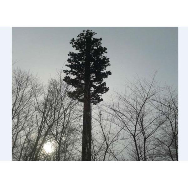 China Camouflaged Bionic Pine Palm Tree Monopole Tower wholesale