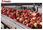 juice concentrate Passion Fruit Beverage Processing Line Passion fruit juice