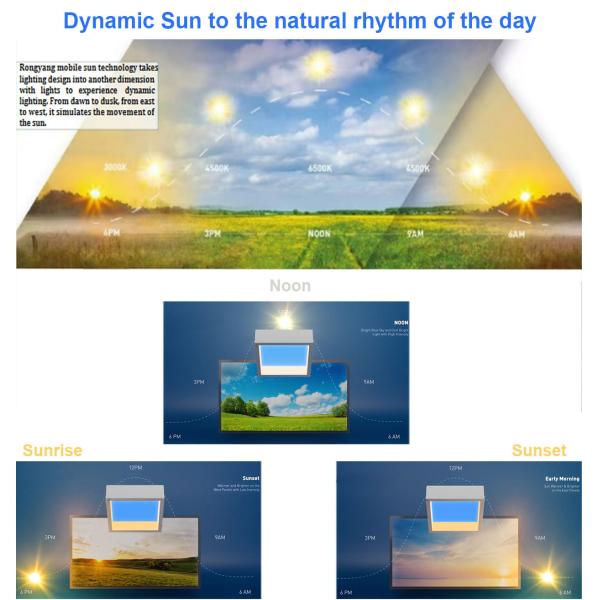 Recessed 24" Skylight LED Panel , Alexa Voice Control LED Simulate Sunlight