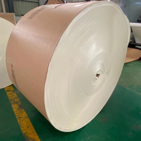 Quality PE Coated Jumbo Roll Paper 1300mm for sale