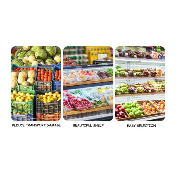 Custom PET Plastic Blister Tray Pallet For Food Fruits Box Packaging Transparent