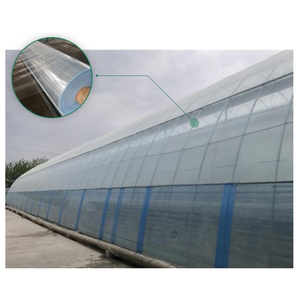 Agricultural Commercial Grass Greenhouse with Electrical or Water Heating System