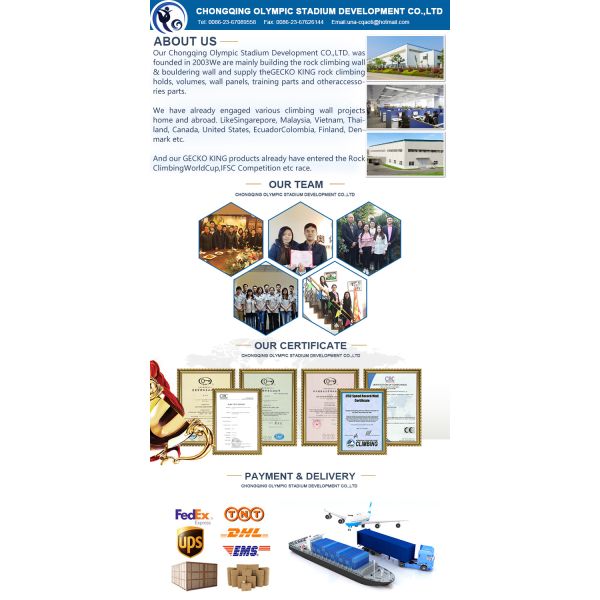 Indoor/Outdoor Gym Equipment Sturdy Construction for Customizable Rock Climbing Walls