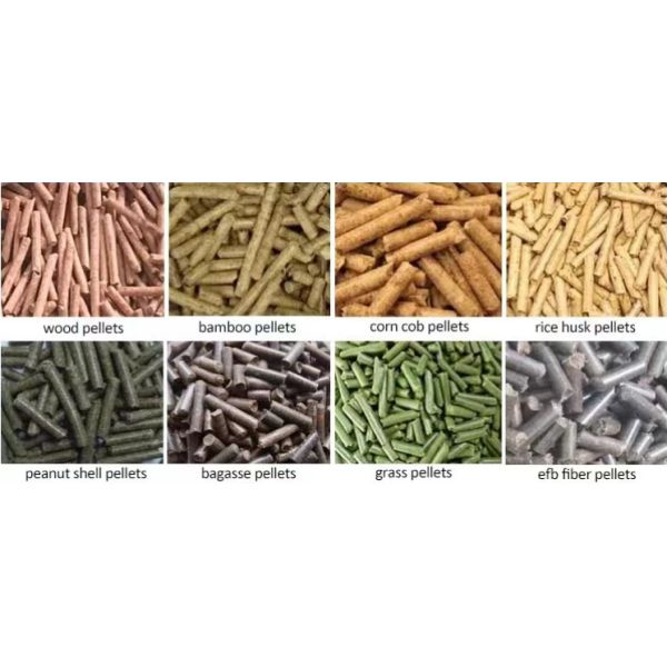 6mm 8mm Ring Die Wood Pellet Mill With Auto Lubrication Dust Removal Cabinet