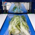 Leaves Vegetables Carrots and longitudinal root vegetables Onions Leafy