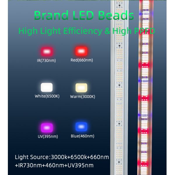Dimmable Foldable Full Spectrum Grow Lamp For Indoor Plants 10 Bars 1100W