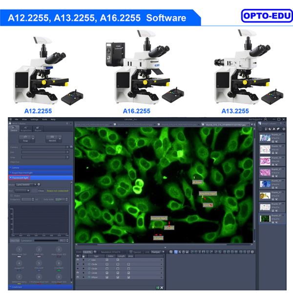 Opto Edu A16.2255 Laboratory Fluorescent Microscope Fully Motorized UV B G BX53 CX43 Level