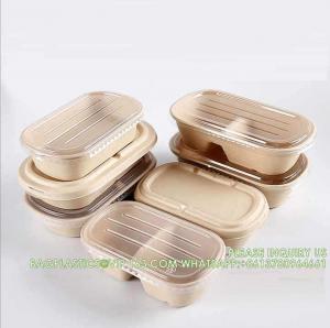 China Wholesale Sugarcane Bagasse Pulp Lunch Box Takeaway Food Container Diaposiable Recyclable Sugarcane Packaging Box wholesale