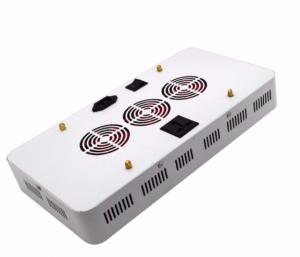 China 1200W Double Chips LED Grow Light Full Spectrum For Inddor Plants and Greenhouse Hydroponic Flowering and Growing wholesale