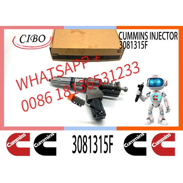 Fuel Injector Assembly 3081315F 4384360 3411762 4307516N 3411767T 3407776 3087807 341176 3409975 For Cum-mins Engine N14
