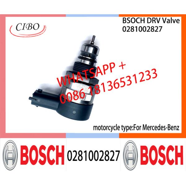 BOSCH DRV Valve 0281002827 Control Valve 0281002827 For Mercedes-Benz