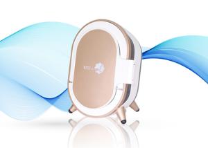 China Professional Facial Skin Analyzer Automatic Test With IPad Operation System wholesale
