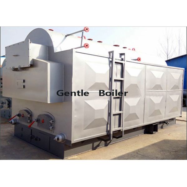 3 ton 3000kg DZH series moving grate biomass steam boilers for wood drying plant