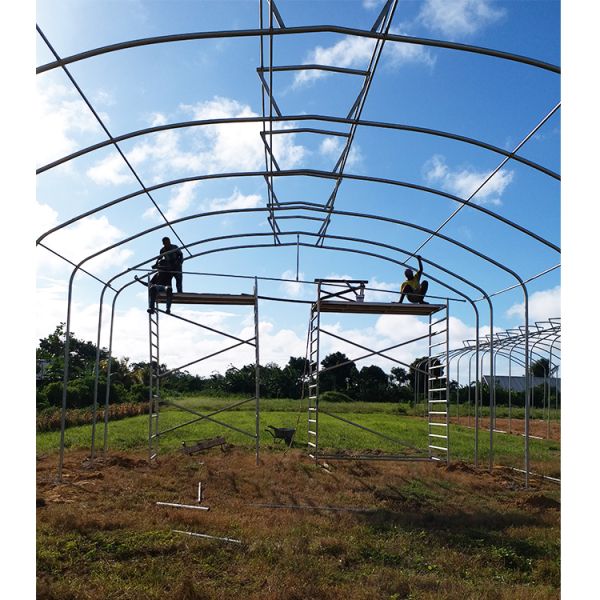Umbrella Structure Agricultural Greenhouse 8m Height Wide Span Greenhouse
