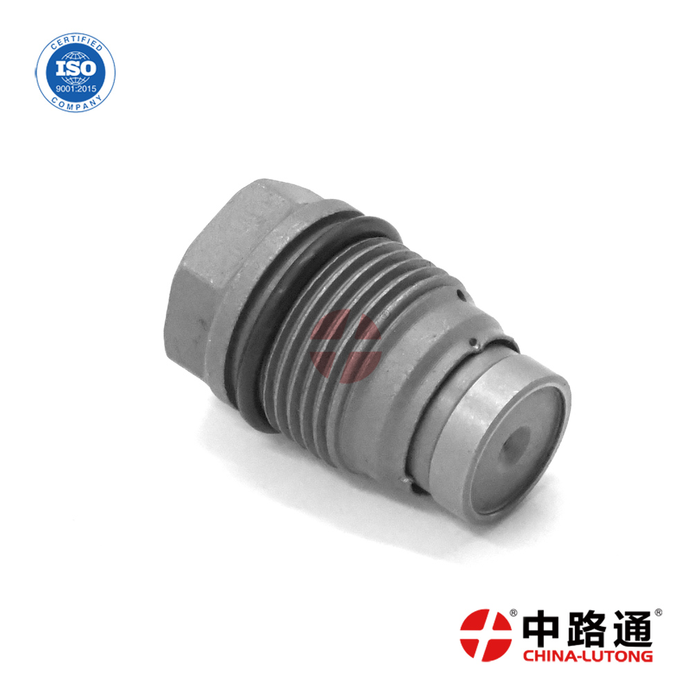 Common Rail Piezo Injector Control Valve Kit 1 110 010 024 for Buy BOSCH Pressure Relief Valve
