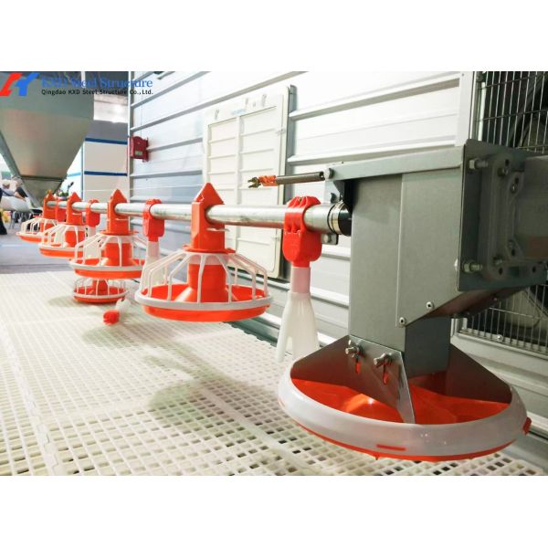 Fully Automatic Animal Feeders Plastic Chicken Feeders And Drinkers