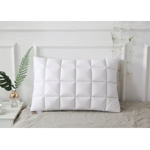 China Goose Down 240G 48cm*74cm Goose Feather Down Pillow wholesale