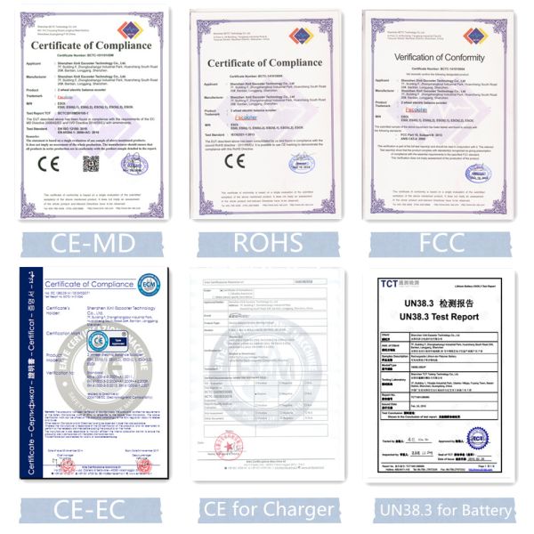 2 Wheel Self Balance Scooter Electric Chariot Off Roading Segway With Handle